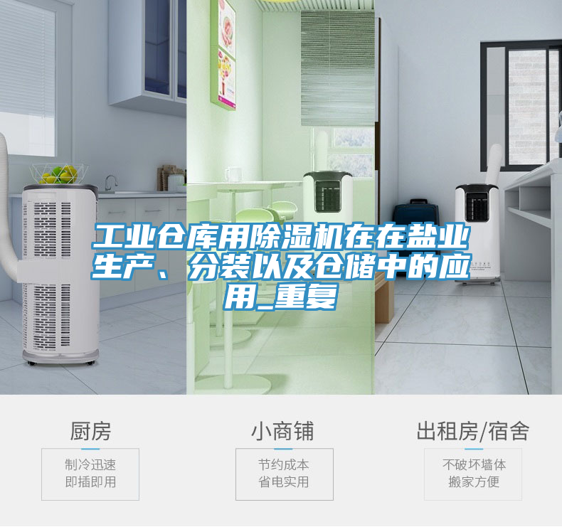 工業(yè)倉庫用除濕機(jī)在在鹽業(yè)生產(chǎn)、分裝以及倉儲(chǔ)中的應(yīng)用_重復(fù)