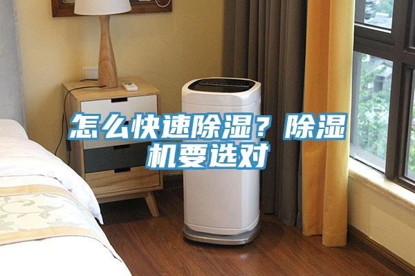 怎么快速除濕？除濕機(jī)要選對(duì)
