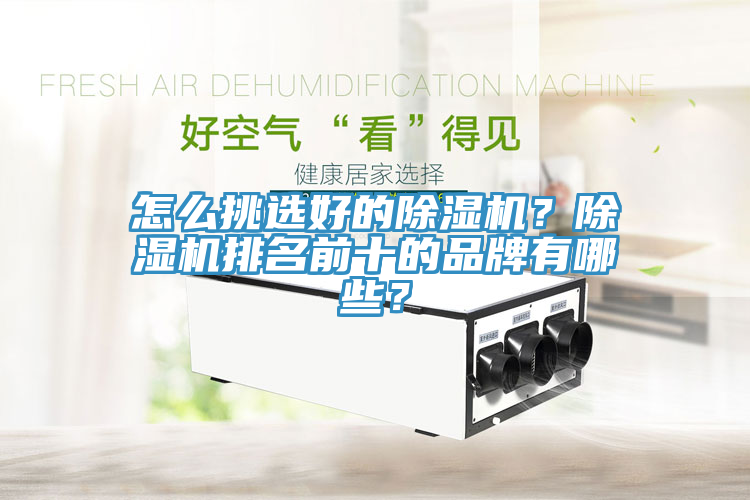 怎么挑選好的除濕機？除濕機排名前十的品牌有哪些？