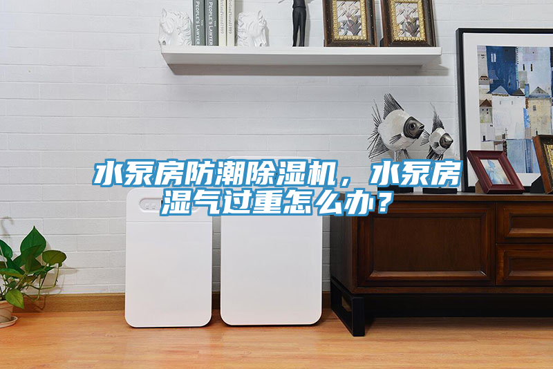 水泵房防潮除濕機(jī)，水泵房濕氣過重怎么辦？