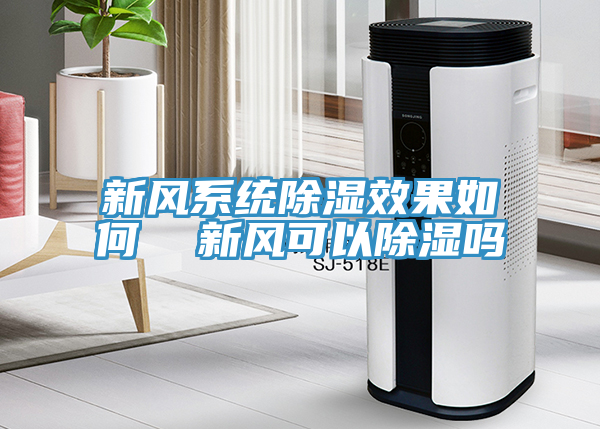 新風系統(tǒng)除濕效果如何  新風可以除濕嗎