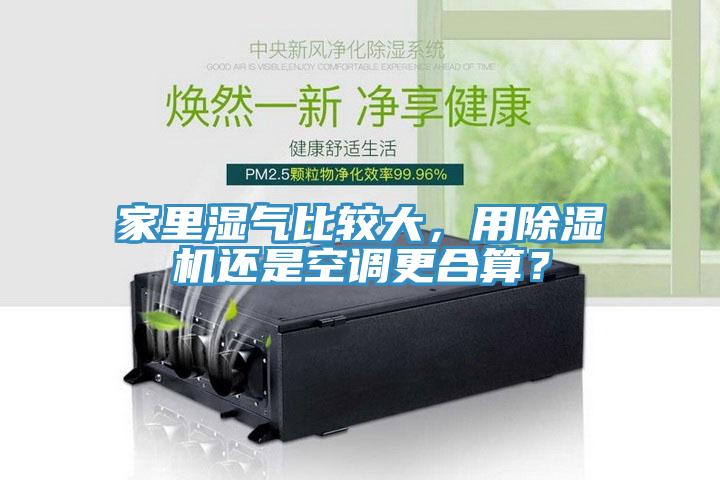 家里濕氣比較大，用除濕機還是空調更合算？