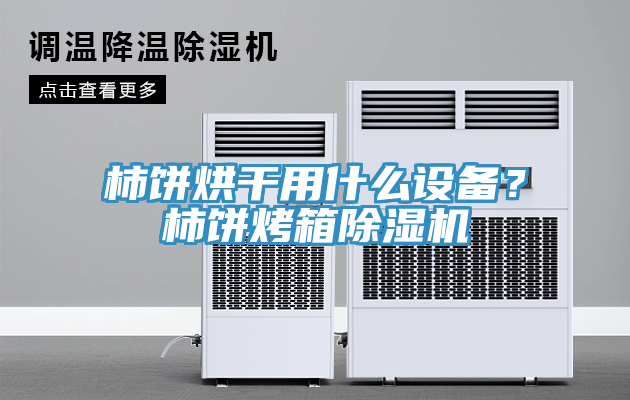 柿餅烘干用什么設(shè)備？柿餅烤箱除濕機(jī)