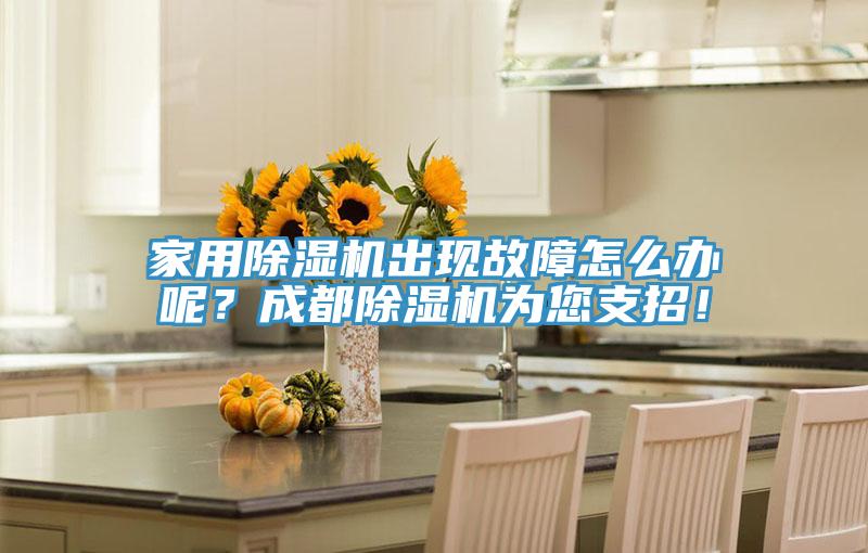 家用除濕機(jī)出現(xiàn)故障怎么辦呢？成都除濕機(jī)為您支招！