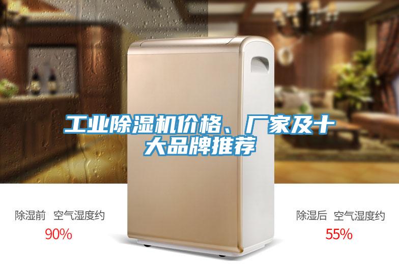 工業(yè)除濕機(jī)價(jià)格、廠家及十大品牌推薦