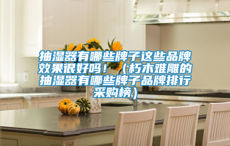 抽濕器有哪些牌子這些品牌效果很好嗎?。ㄐ嗄倦y雕的抽濕器有哪些牌子品牌排行采購榜）
