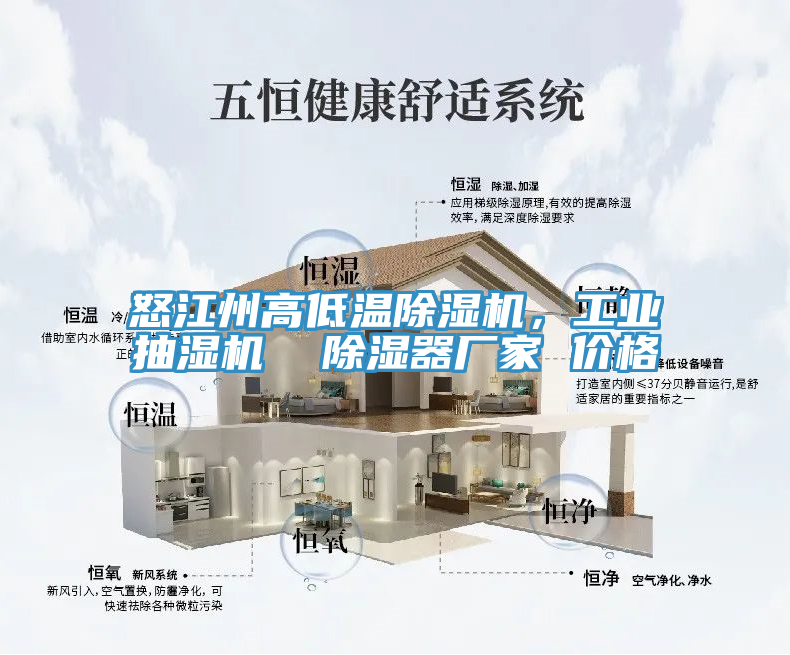 怒江州高低溫除濕機，工業(yè)抽濕機  除濕器廠家 價格