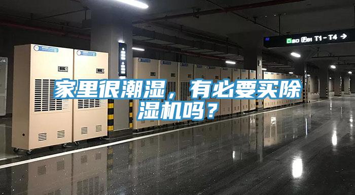 家里很潮濕，有必要買除濕機嗎？