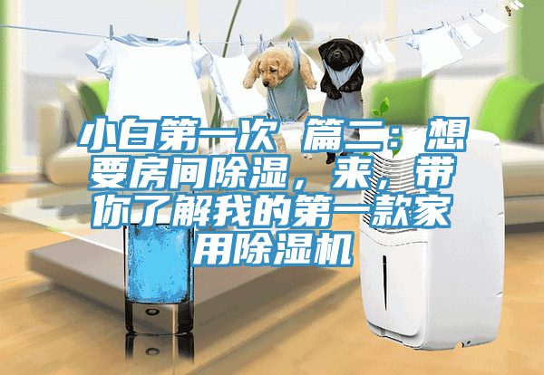 小白第一次 篇二：想要房間除濕，來(lái)，帶你了解我的第一款家用除濕機(jī)