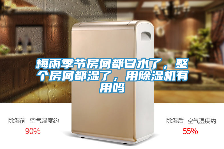 梅雨季節(jié)房間都冒水了，整個房間都濕了，用除濕機有用嗎