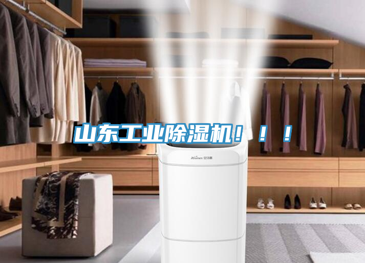 山東工業(yè)除濕機(jī)！?。?></div>
								<div   id=