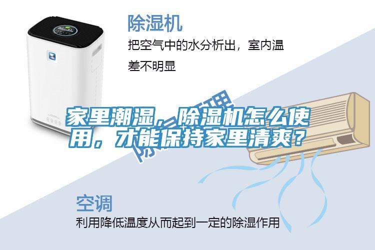 家里潮濕，除濕機(jī)怎么使用，才能保持家里清爽？
