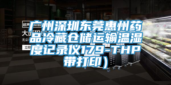 廣州深圳東莞惠州藥品冷藏倉儲運輸溫濕度記錄儀179-THP帶打?。?></div>
								<div   id=