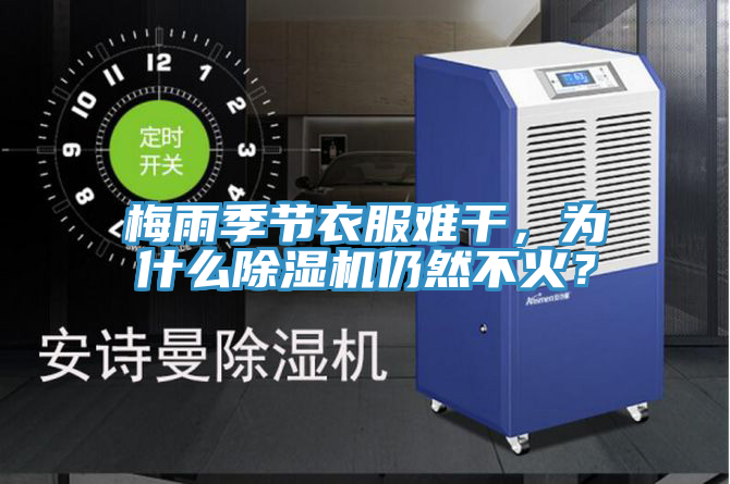 梅雨季節(jié)衣服難干，為什么除濕機仍然不火？