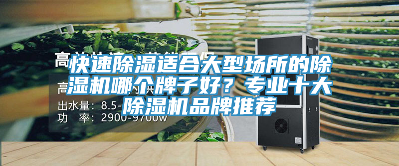 快速除濕適合大型場所的除濕機哪個牌子好？專業(yè)十大除濕機品牌推薦