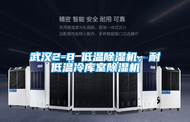 武漢2-8℃低溫除濕機，耐低溫冷庫室除濕機