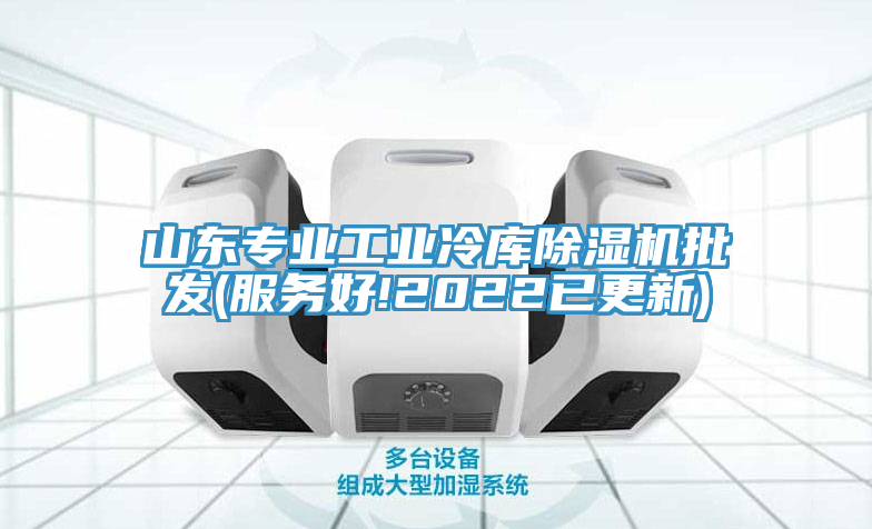 山東專(zhuān)業(yè)工業(yè)冷庫(kù)除濕機(jī)批發(fā)(服務(wù)好!2022已更新)