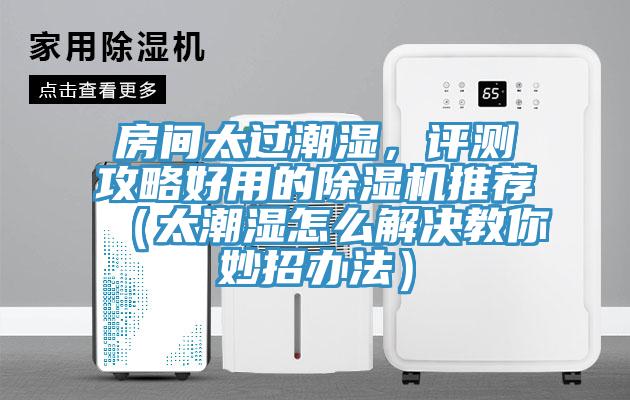 房間太過潮濕，評測攻略好用的除濕機(jī)推薦（太潮濕怎么解決教你妙招辦法）