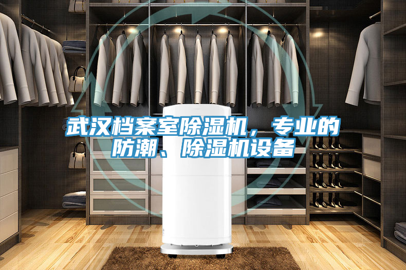 武漢檔案室除濕機，專業(yè)的防潮、除濕機設備