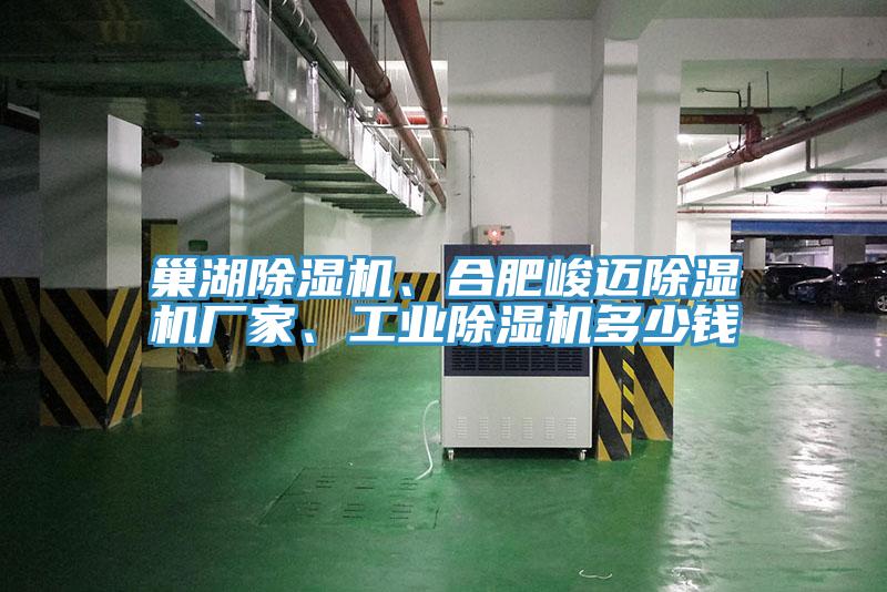 巢湖除濕機、合肥峻邁除濕機廠家、工業(yè)除濕機多少錢