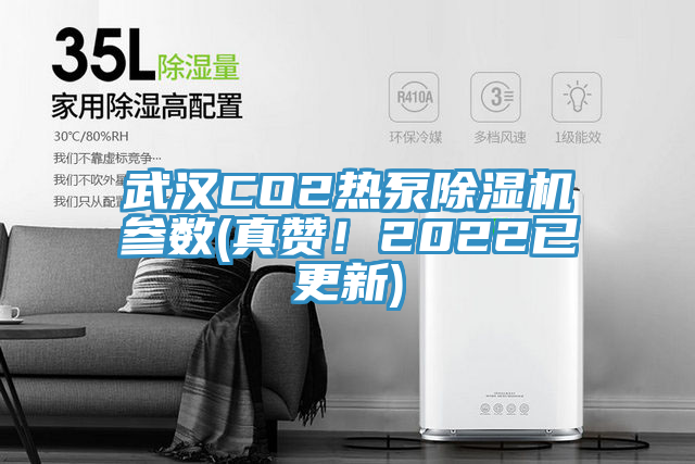 武漢CO2熱泵除濕機(jī)參數(shù)(真贊！2022已更新)