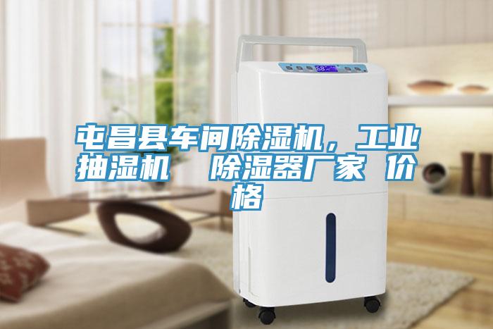屯昌縣車間除濕機(jī)，工業(yè)抽濕機(jī)  除濕器廠家 價(jià)格