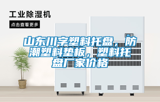 山東川字塑料托盤，防潮塑料墊板，塑料托盤廠家價(jià)格