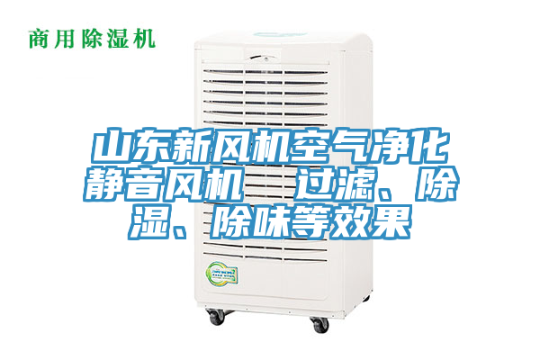 山東新風(fēng)機(jī)空氣凈化靜音風(fēng)機(jī)  過濾、除濕、除味等效果