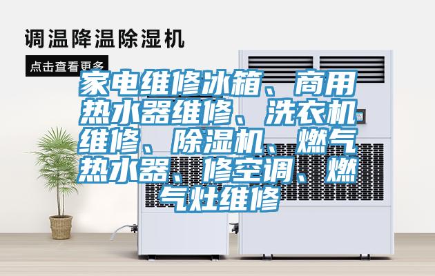 家電維修冰箱、商用熱水器維修、洗衣機維修、除濕機、燃?xì)鉄崴?、修空調(diào)、燃?xì)庠罹S修