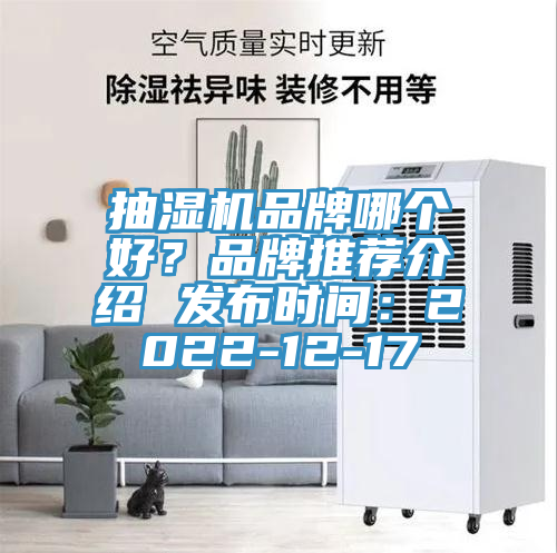 抽濕機品牌哪個好？品牌推薦介紹 發(fā)布時間：2022-12-17