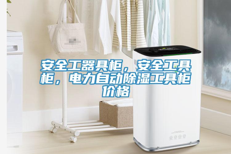 安全工器具柜，安全工具柜，電力自動(dòng)除濕工具柜價(jià)格