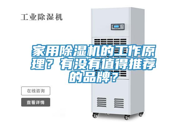 家用除濕機的工作原理？有沒有值得推薦的品牌？