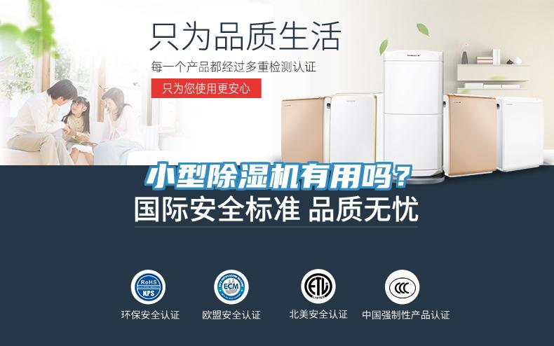 小型除濕機有用嗎？