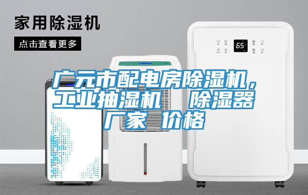 廣元市配電房除濕機，工業(yè)抽濕機  除濕器廠家 價格