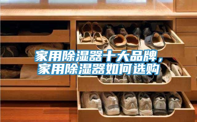 家用除濕器十大品牌，家用除濕器如何選購