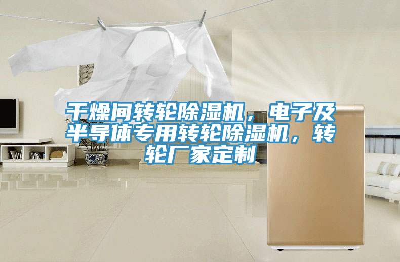 干燥間轉(zhuǎn)輪除濕機(jī)，電子及半導(dǎo)體專用轉(zhuǎn)輪除濕機(jī)，轉(zhuǎn)輪廠家定制
