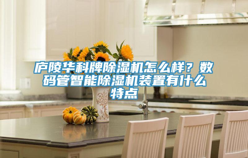 廬陵華科牌除濕機(jī)怎么樣？數(shù)碼管智能除濕機(jī)裝置有什么特點(diǎn)