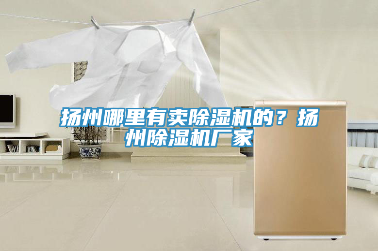 揚州哪里有賣除濕機的？揚州除濕機廠家