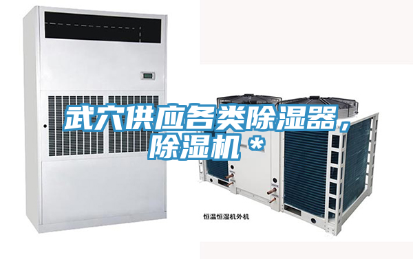 武穴供應各類除濕器，除濕機＊