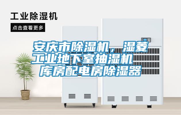 安慶市除濕機，濕菱工業(yè)地下室抽濕機  庫房配電房除濕器