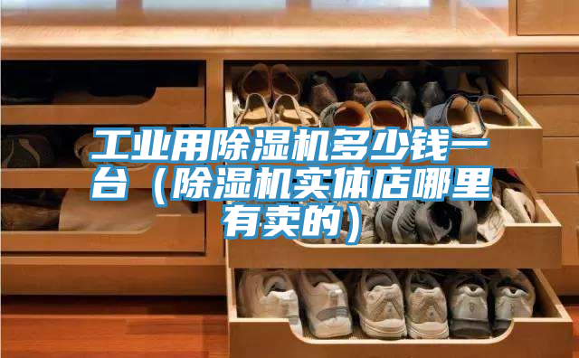 工業(yè)用除濕機(jī)多少錢一臺（除濕機(jī)實(shí)體店哪里有賣的）
