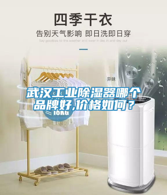 武漢工業(yè)除濕器哪個品牌好,價格如何？