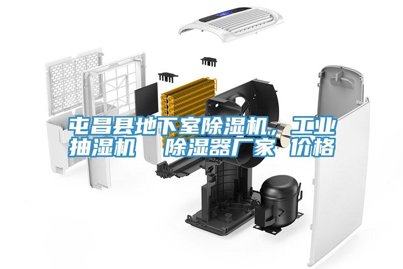 屯昌縣地下室除濕機(jī)，工業(yè)抽濕機(jī)  除濕器廠家 價(jià)格