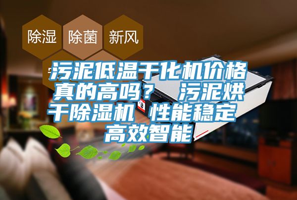 污泥低溫干化機價格真的高嗎？ 污泥烘干除濕機 性能穩(wěn)定 高效智能