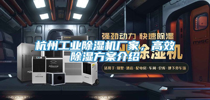 杭州工業(yè)除濕機(jī)廠家，高效除濕方案介紹