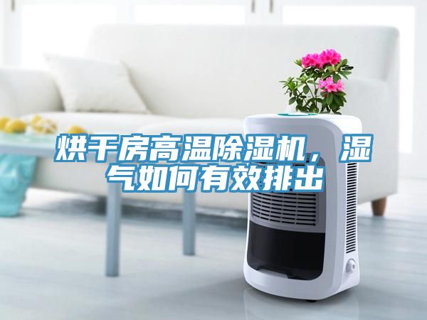 烘干房高溫除濕機(jī)，濕氣如何有效排出