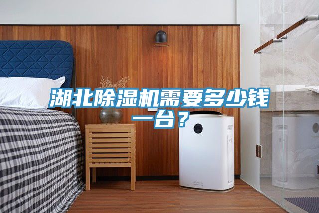 湖北除濕機(jī)需要多少錢一臺(tái)？