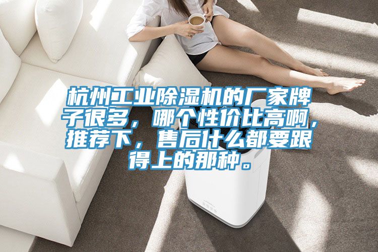 杭州工業(yè)除濕機(jī)的廠家牌子很多，哪個(gè)性價(jià)比高啊，推薦下，售后什么都要跟得上的那種。