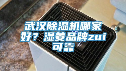 武漢除濕機哪家好？濕菱品牌zui可靠