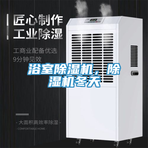 浴室除濕機(jī)，除濕機(jī)冬天
